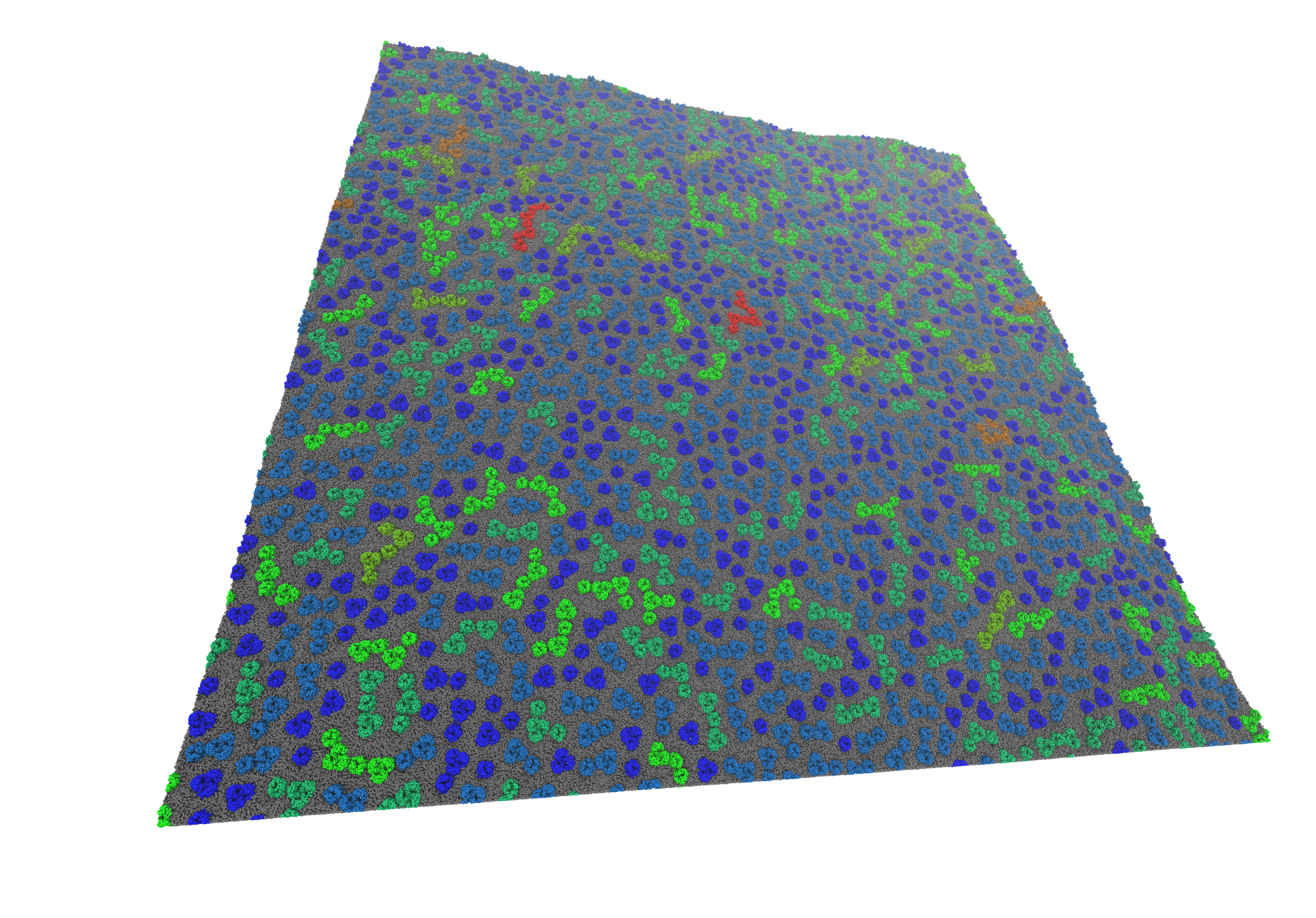 <center>480x480nm<SUP>2</SUP> CG model of a membrane patch contening >2000 proteins.</center>